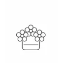 Box růžových růží